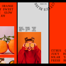 rigidon-mono-modern-serif-monospace-font-rasio-std-5.png