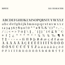 ripete-modern-serif-craft-supply-co-8.jpg