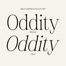 risley-classic-editorial-font-craft-supply-co-3.jpg
