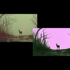 riso-print-effect-pixelbuddha-4.jpg