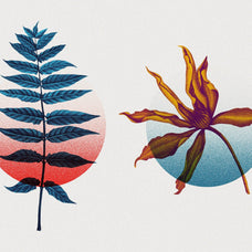 Risograph Double Exposure Effect
