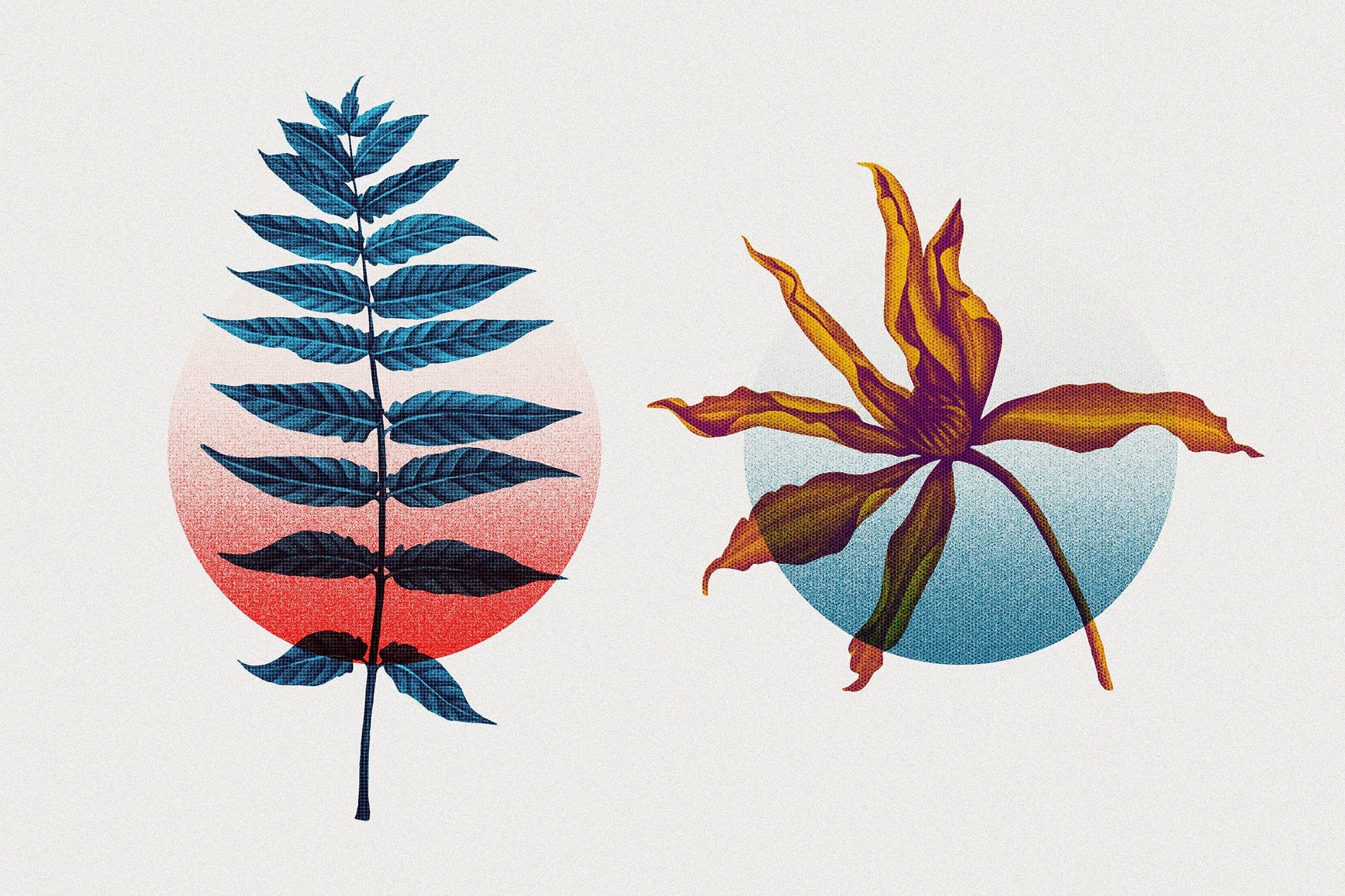 Risograph Double Exposure Effect