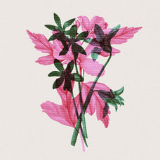 Risograph Double Exposure Effect