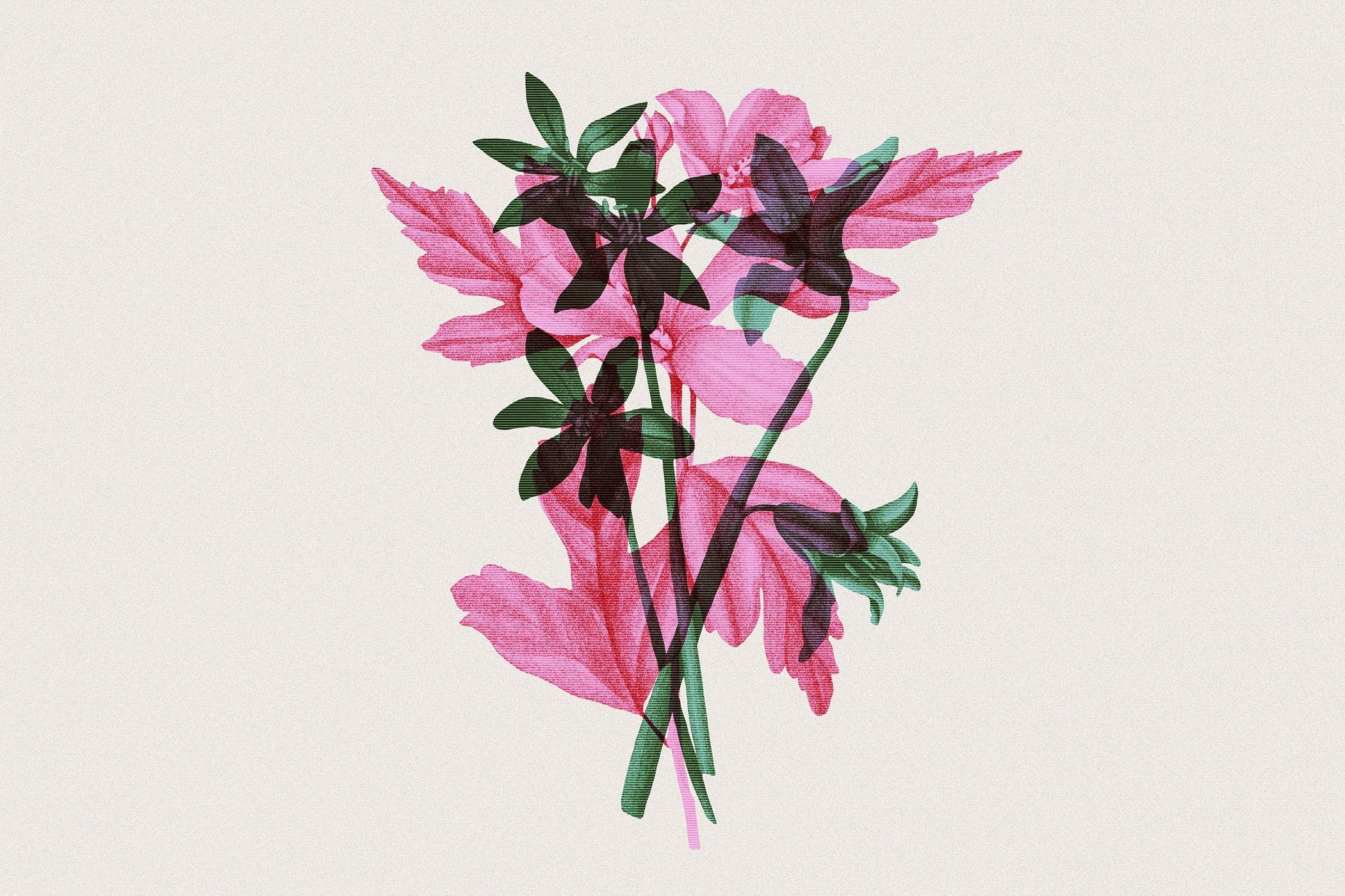 Risograph Double Exposure Effect