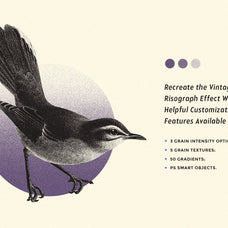 Risograph Grain Effect
