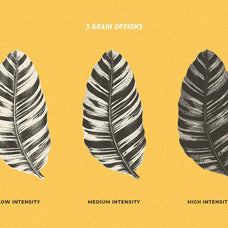 Risograph Grain Effect