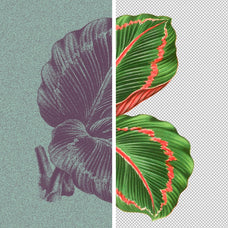 Risograph Grain Effect
