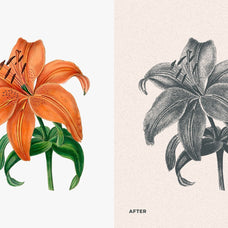 Risograph Grain Effect