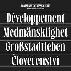 roadminer-mbonster-design-studio-14.jpg