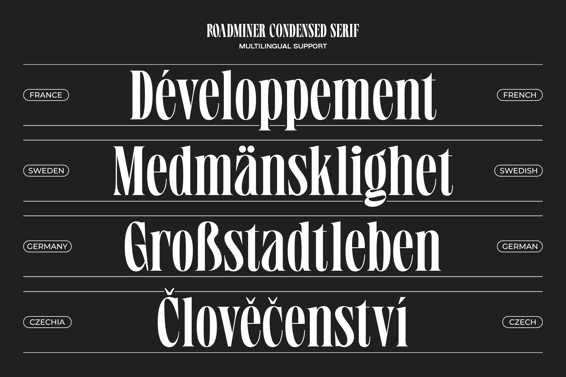 roadminer-mbonster-design-studio-14.jpg