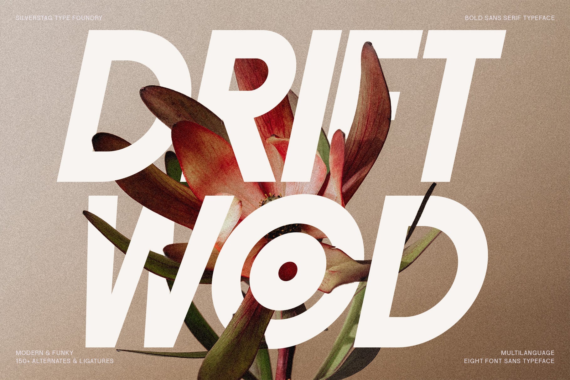 ROCKFALL - Bold Ligature Typeface