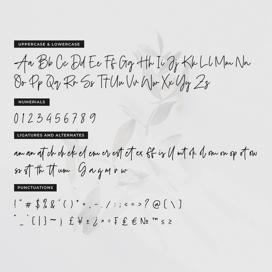 rockville-modern-signature-script-font-heinzel-std-11.jpg