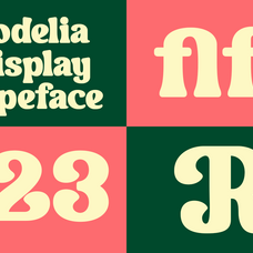 Rodelia - Bold Playful Retro Display Font by Roomspace Creative Lab, preview 4