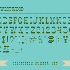 rodeo-westwood-slab-serif-font-vadova-studio-2.jpg