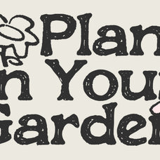 roghen-a-rough-serif-font-blankids-3.jpg