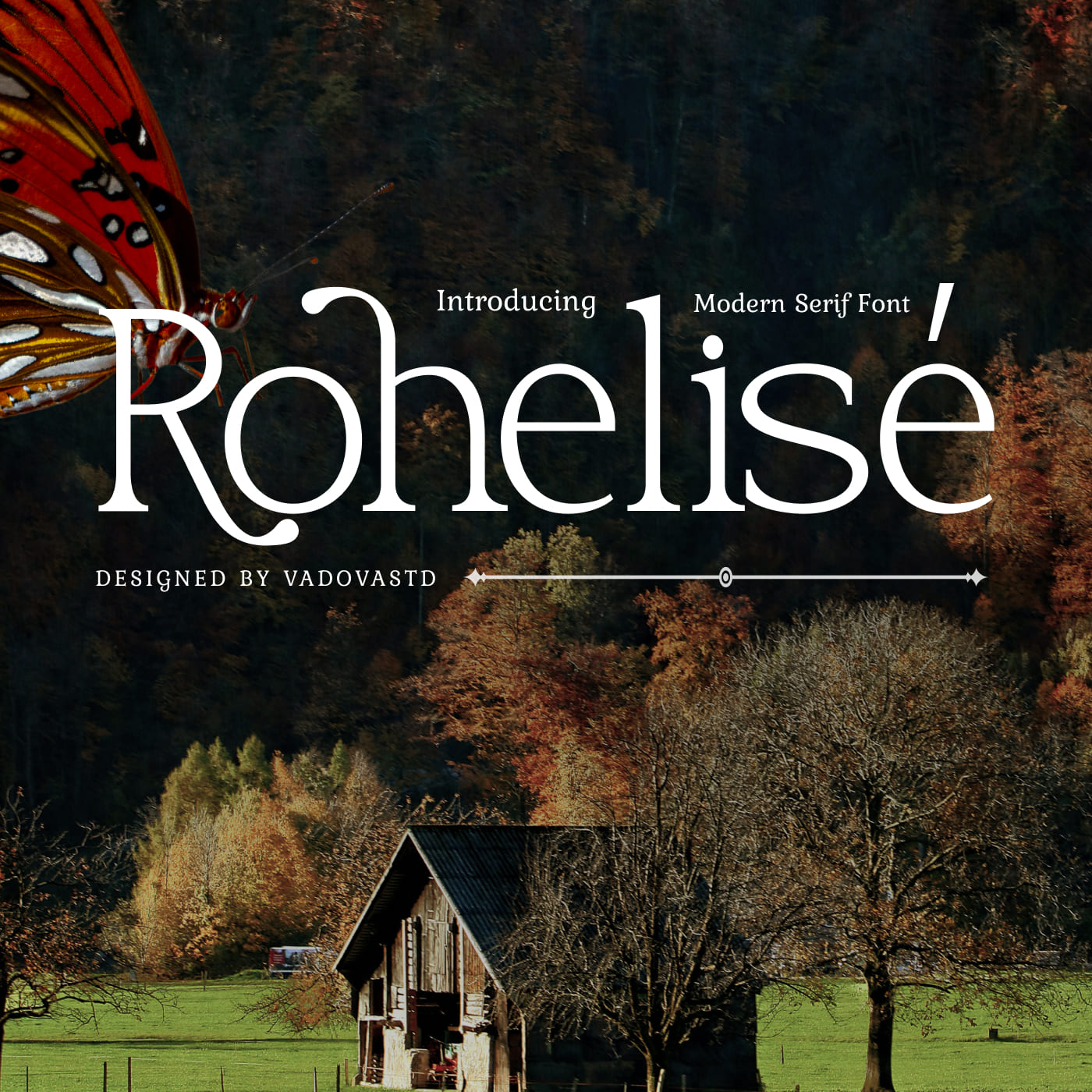 rohelise-modern-serif-font-vadova-studio-1.jpg