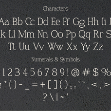 rohelise-modern-serif-font-vadova-studio-2.png