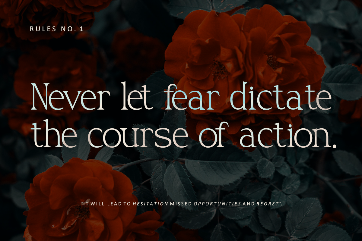 rohelise-modern-serif-font-vadova-studio-7.png