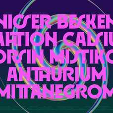 romien-modern-classic-display-font-enxyclo-studio-11.png