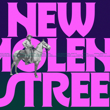 romien-modern-classic-display-font-enxyclo-studio-3.png