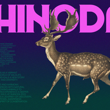 romien-modern-classic-display-font-enxyclo-studio-8.png