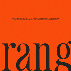 romier-murilo-condensed-editorial-serif-font-rasio-std-4.png