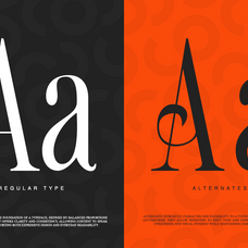 romier-murilo-condensed-editorial-serif-font-rasio-std-7.png