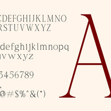 romira-etoile-modern-elegant-editorial-serif-font-rasio-std-2.jpg