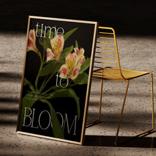 romira-etoile-modern-elegant-editorial-serif-font-rasio-std-7.jpg