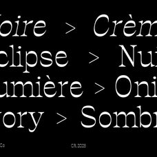 ronders-reverse-contrast-unknown-creator-3.jpg