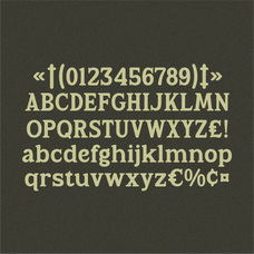rootle-marvadesign-7.png