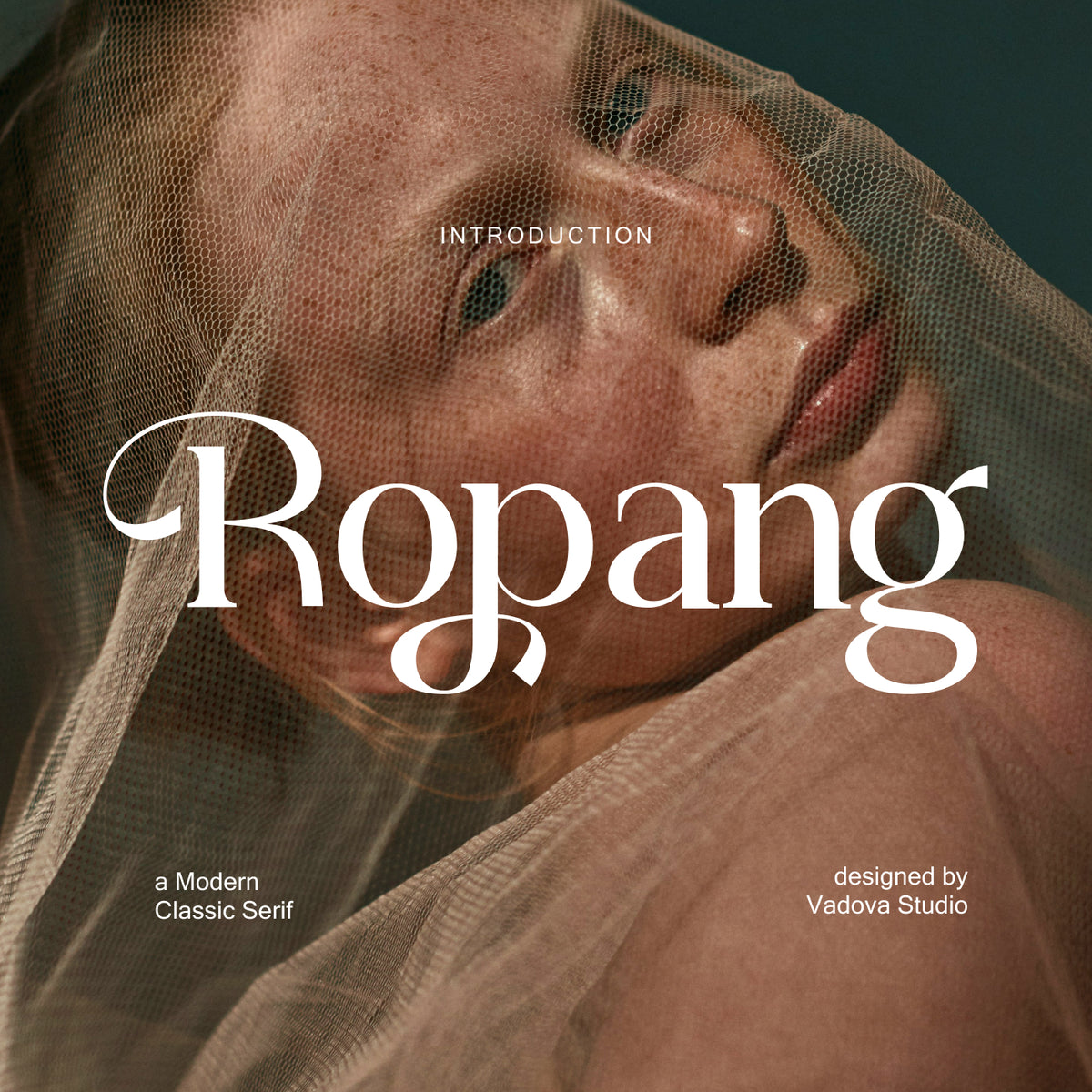 ropang-modern-classic-serif-font-vadova-studio-1.jpg