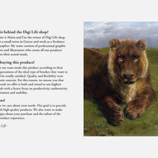 Rosa Bonheur Procreate Kit