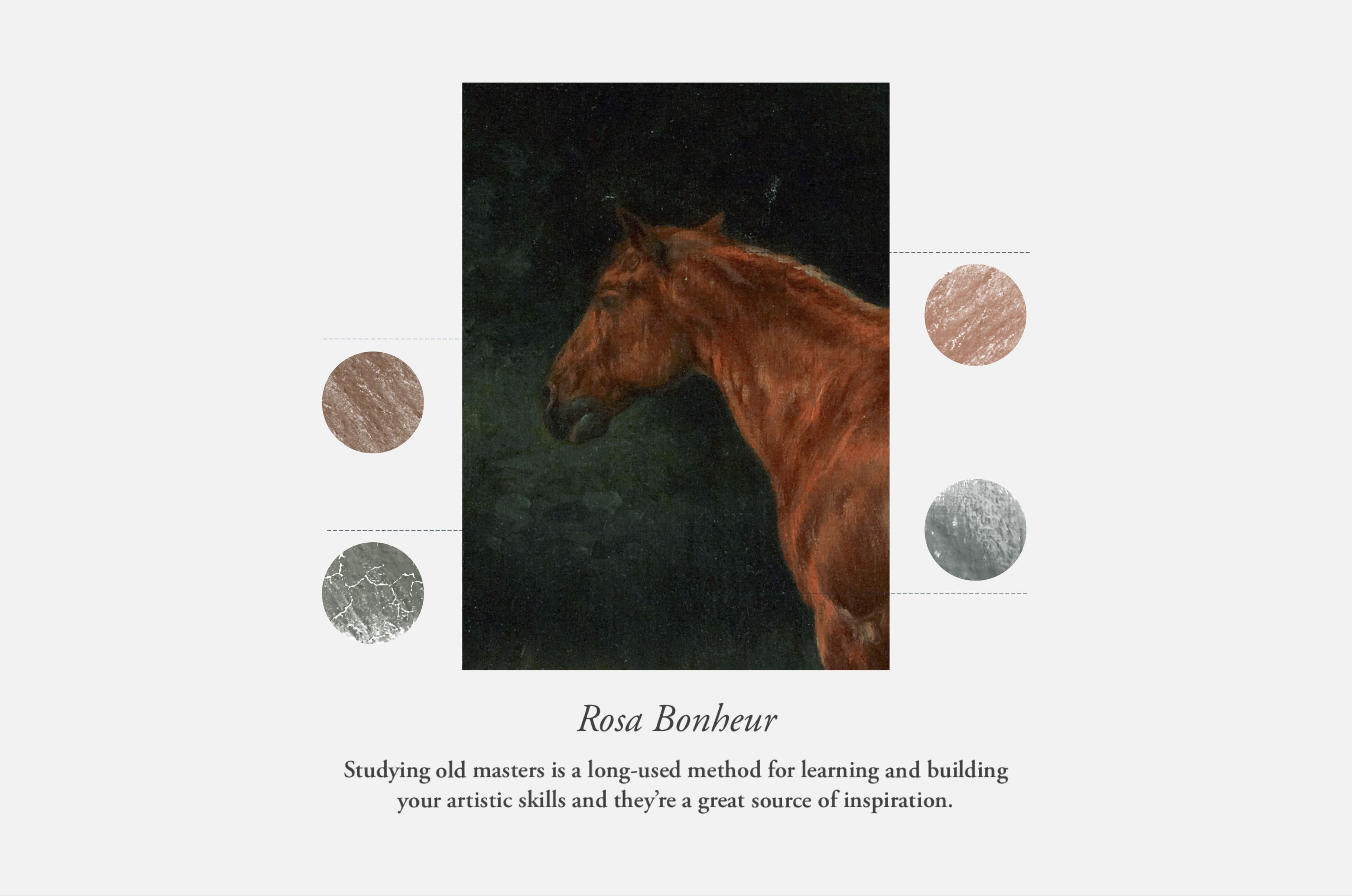 Rosa Bonheur Procreate Kit
