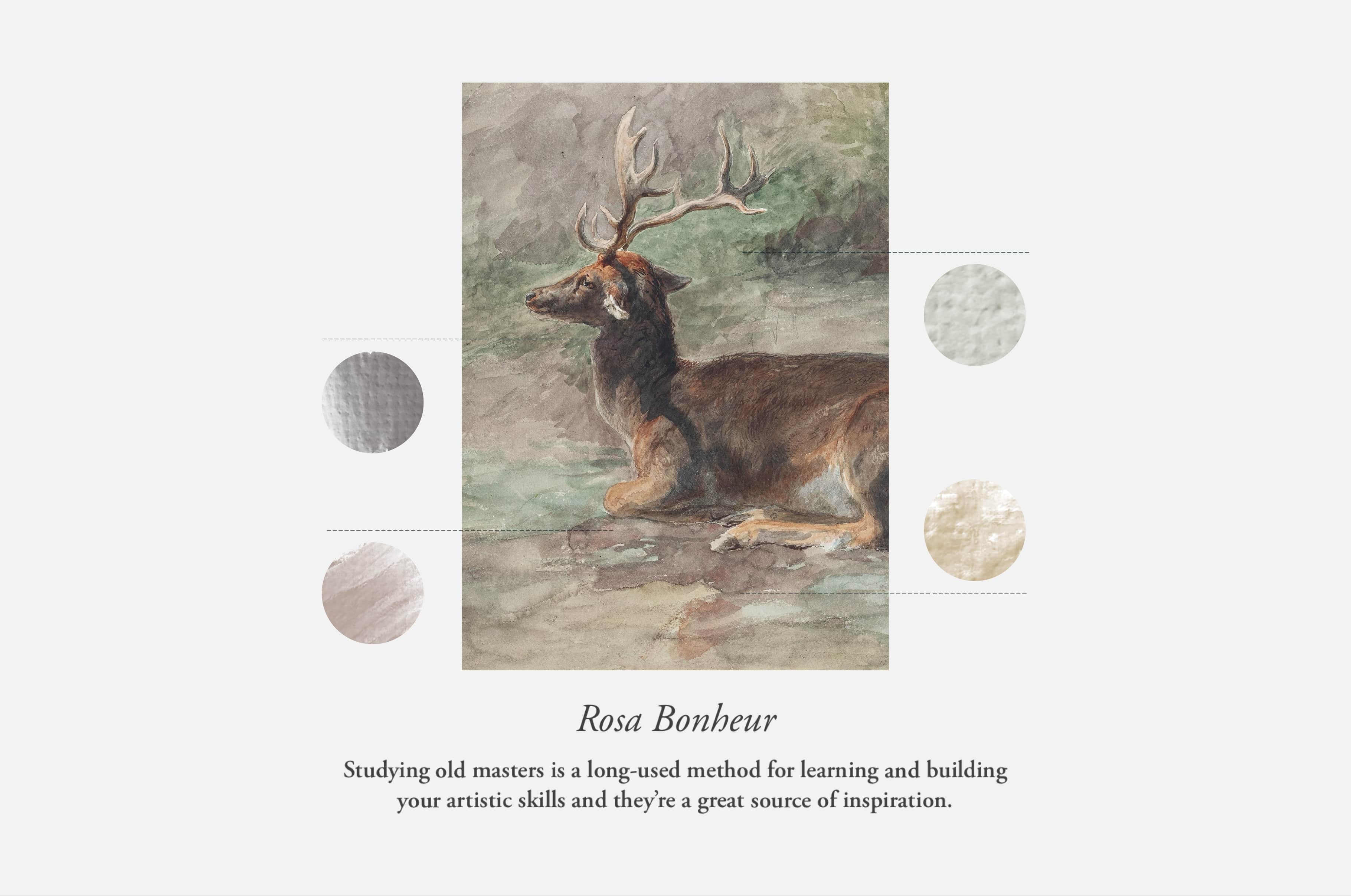 Rosa Bonheur Procreate Kit