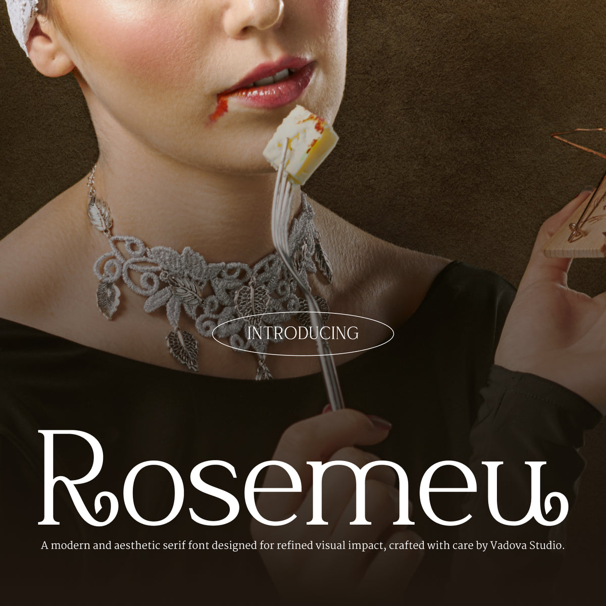 rosemeu-modern-serif-font-vadova-studio-1.jpg