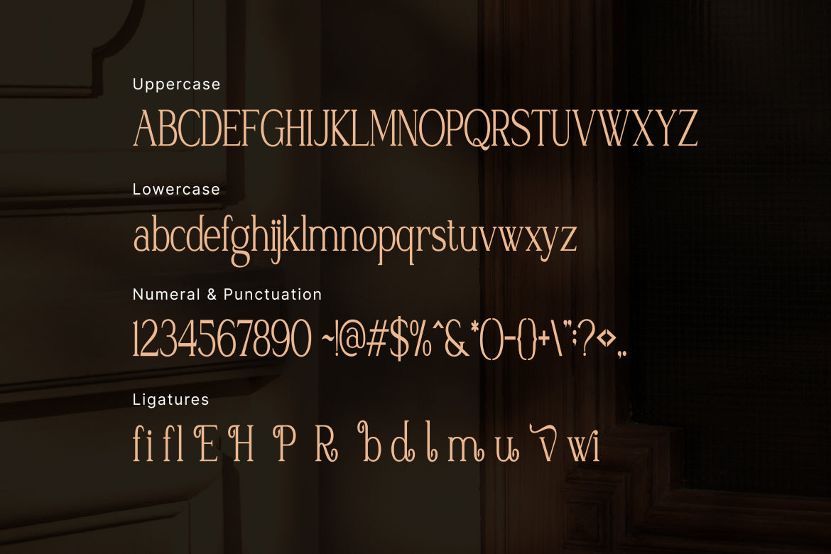 rosemeu-modern-serif-font-vadova-studio-2.jpg