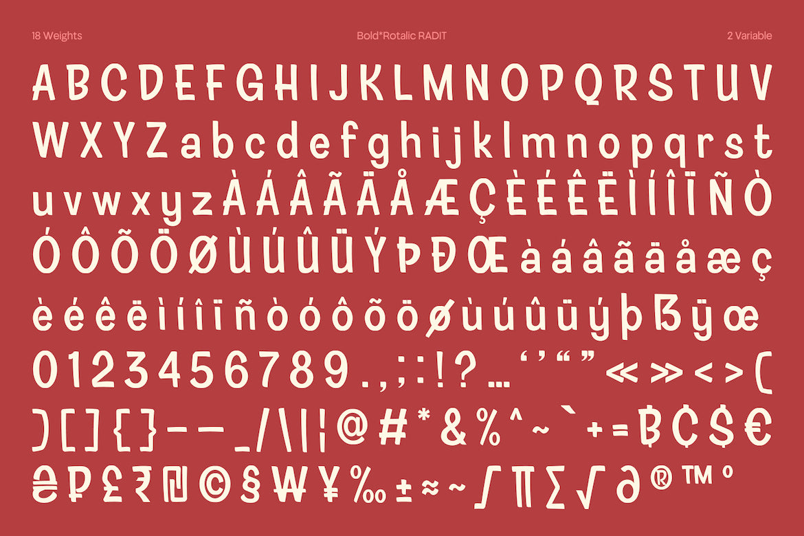 rotalic-radit-modern-rotalic-font-casloop-studio-3.jpg