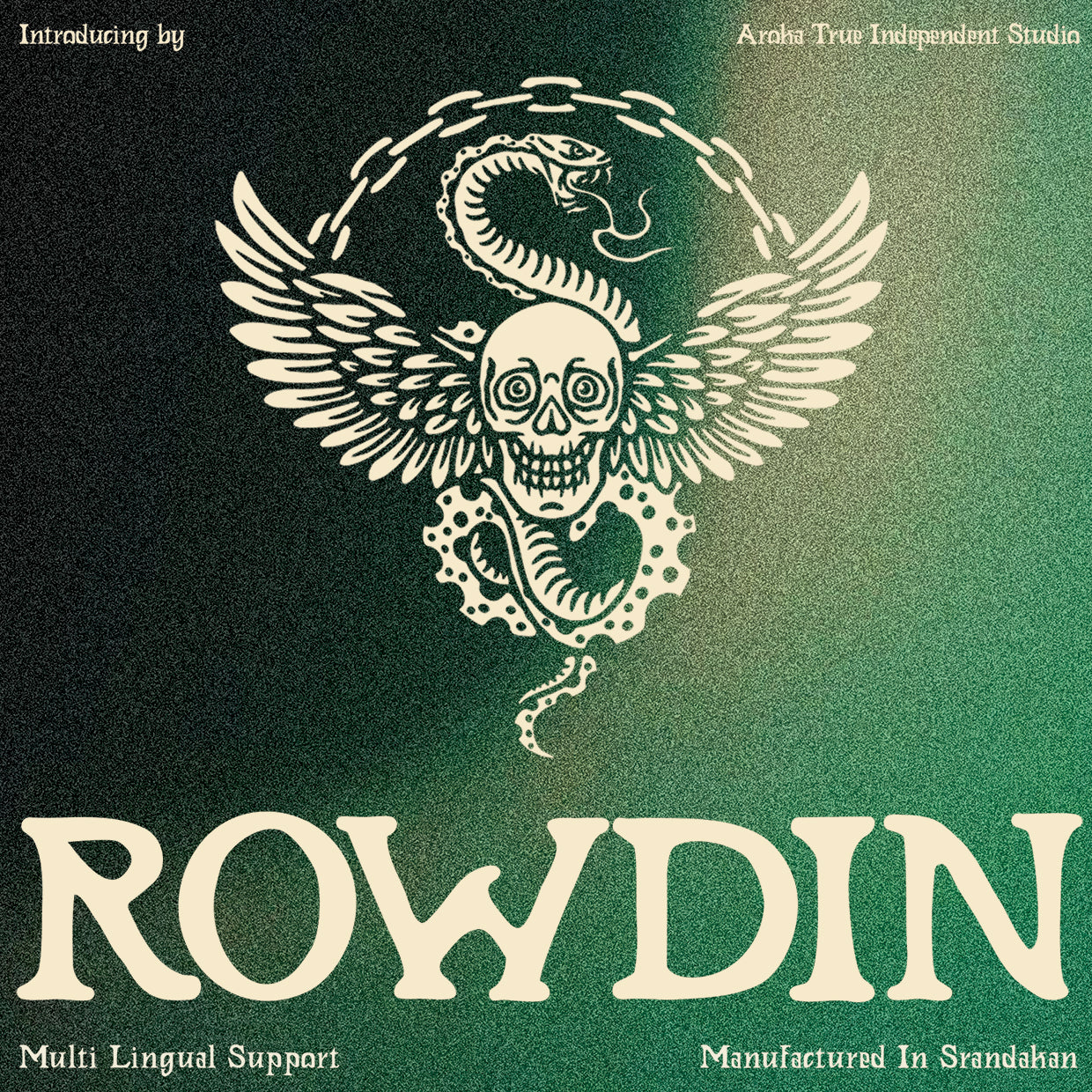 rowdin-serif-aroka-true-independent-studio-1.jpg