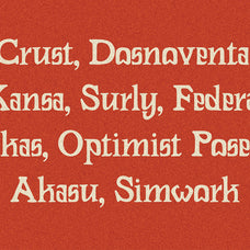 rowdin-serif-aroka-true-independent-studio-4.jpg