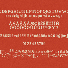 rowdin-serif-aroka-true-independent-studio-8.jpg