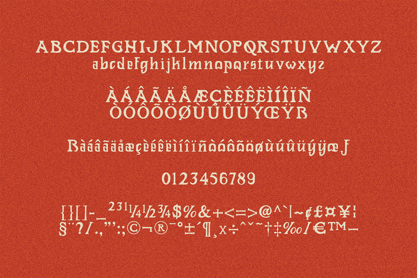 rowdin-serif-aroka-true-independent-studio-8.jpg