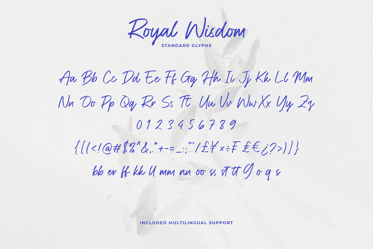 royal-wisdom-modern-script-font-unknown-creator-12.jpg