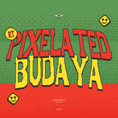 RT Pixelated Budaya