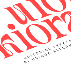 rue-belle-editorial-serif-font-rasio-std-6.png