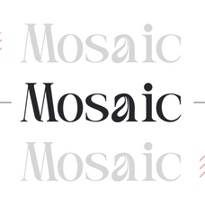 rue-belle-editorial-serif-font-rasio-std-7.png