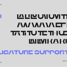 runex-modern-bold-expanded-sans-serif-font-roomspace-creative-lab-14.png