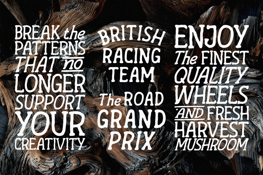 Runners Society - Retro Serif Font by Typeparties – Studio 2am