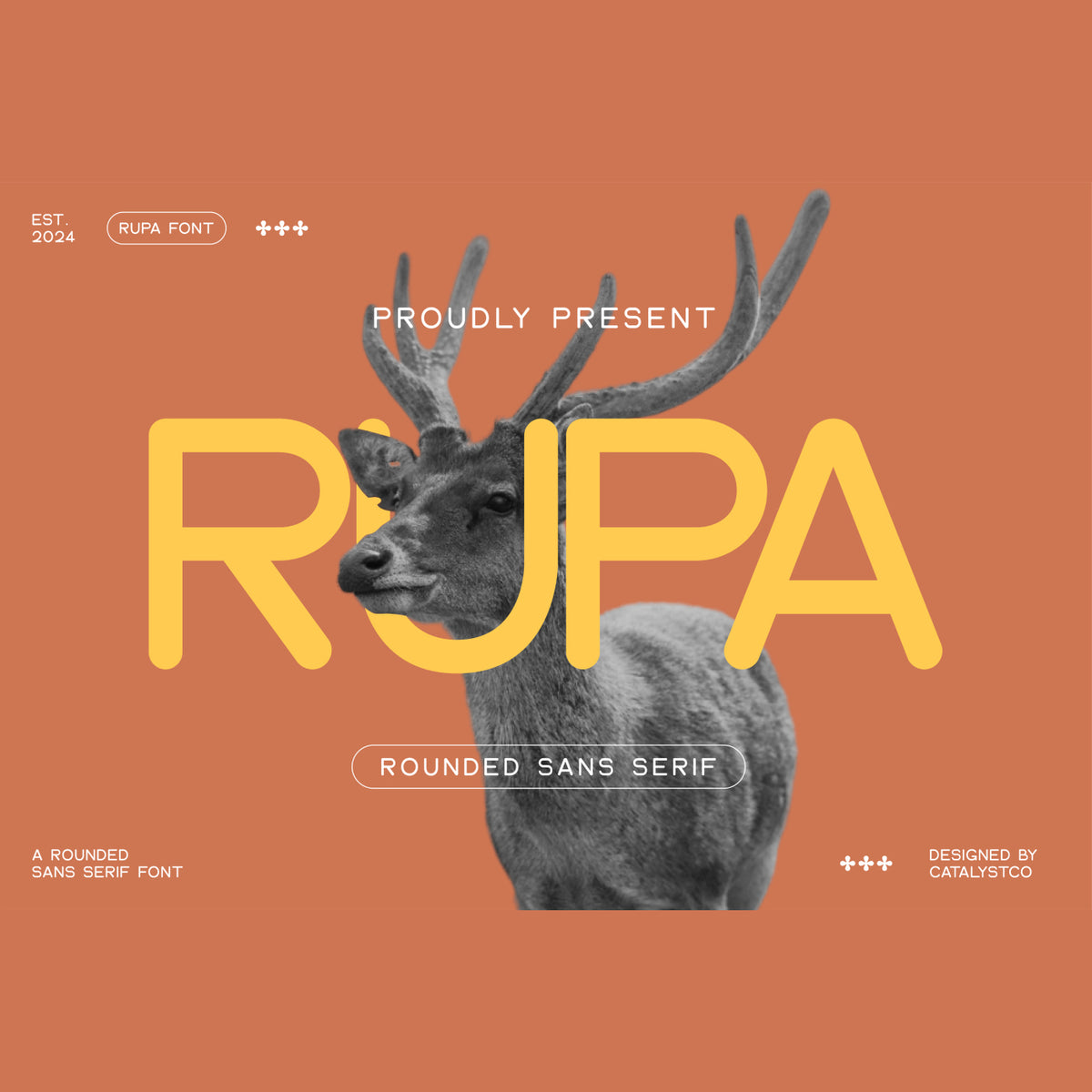 rupa-rounded-sans-serif-font-catalystco-studio-1.jpg