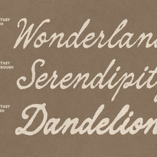 rusty-fantasy-organic-calligraphy-script-font-blankids-9.jpg